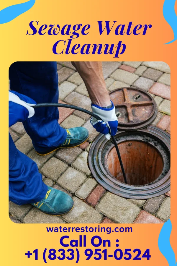 Sewage Water Cleanup in Colwell, IA